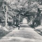 Bembridge, Ducie Avenue